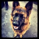 Luis Haros - @harosluiscor - Twitter