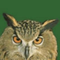 ShireConsulting's profile picture. Shire Consulting are an agricultural and food consultancy specialising in executive search and selection.