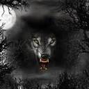 billy holman - @billyholman2 - Twitter