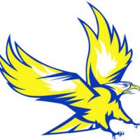 Beaconsfield Netball (@beacyeagles) 's Twitter Profile