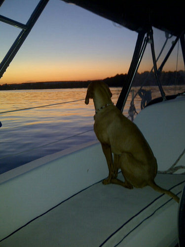 yeti_12345's profile picture. 