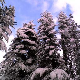 dottore forestale dell'AGIF Engineering s.r.l., mi occupo di progettazioni, analisi e pianificazione territoriale, consulenze agro-forestali e ambientali