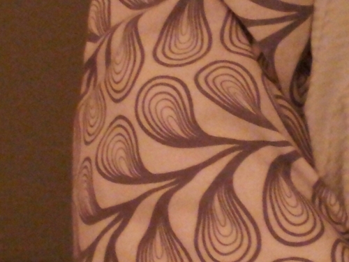 JayBirdBlue5's profile picture. 