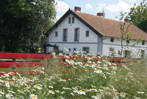 Wyjątkowo klimatyczne siedlisko, zaprojektowane z miłości do sztuki i przyrody. Wymarzone wakacje na Mazurach tylko w naszym gospodarstwie agroturystycznym.