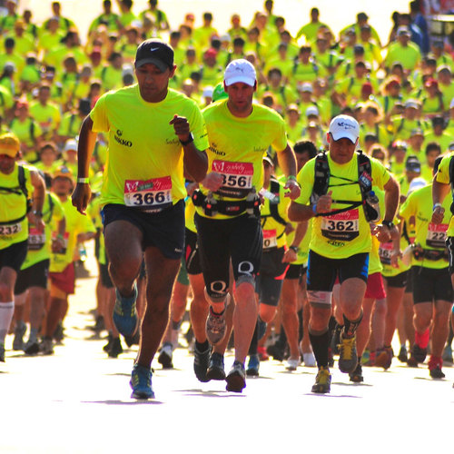 salvajeeventos's profile picture. Carreras de Aventura 100% Argentinas