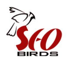 An Indian Web company provides Web Designing, Web Development and SEO services worldwide.