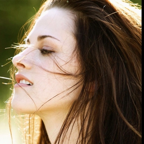 SearchingSwan's profile picture. Running from my past, wasn't something I had ever imagined. Finding love  is one hell of a bonus. (18+ RP) #Inactive