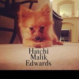 Niall zayn perrie  liam danielle  louis eleanor  harry jade jesy leigh 
Dolly hatchi loki Dusty minou bijoue