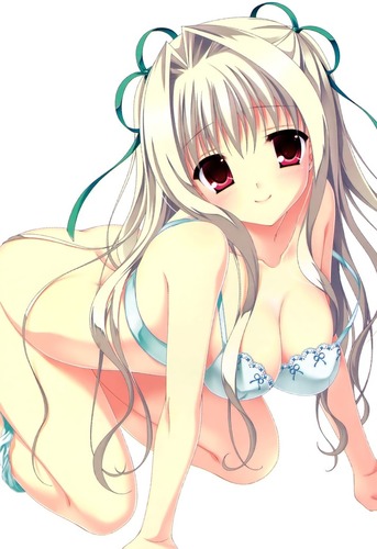 mhfはネカフェしかしてないので不定期inです、この名前見かけたら気軽に声かけてくださいww     あとパズドラもやってるのでフレンドになってくれる方募集してます(*^^*ゞ