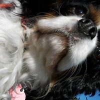 John Lucey (@johnwlucey) Twitter profile photo