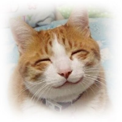 名言は人生を変えるbot 私が後悔することは しなかったことであり できなかったことではない イングリッド バーグマン 名言は人生を変えるbot 私が後悔することは しなかったことであり できなかったことではない イングリッド バーグマン