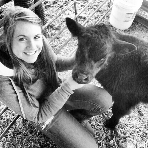 pietheiler's profile picture. 