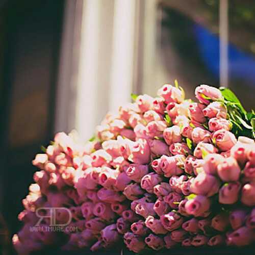 فتاة لا تجيد سوى الضحك و معاملة الناس بحسن نية من مواليد 1988