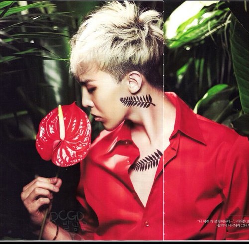 Rinad_33's profile picture. 