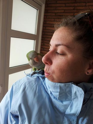 Nerea1703's profile picture. 