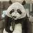 BluQwerty's profile image