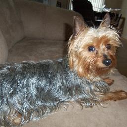 Techfool's profile picture. 