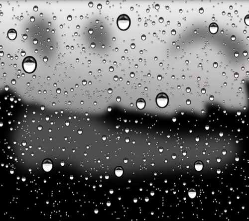 derrickbird1234's profile picture. 