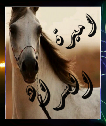 ‏‏والله انه شموخي فوق كل السمات همتي معجزات وقل من جادها...