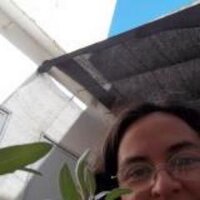 Inés Franceschelli (@ifranceschelli) 's Twitter Profile