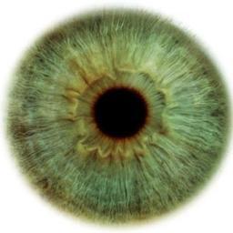 poesiaenelaire's profile picture. Me divorcié de las tristezas, me hice amante de la alegría y, de vez en cuando, beso con locura. Máscara de luna.