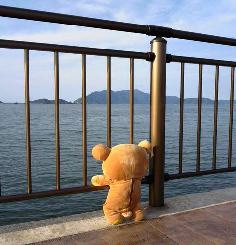 hamujiro773's profile picture. 