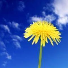 Whatever you do, you should do it with feeling.— Yogi Berra