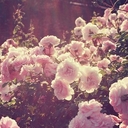 Audrey Lopez - @AudreyLopez17 - Twitter