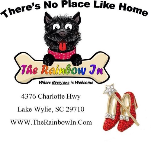 therainbowin's profile picture. 