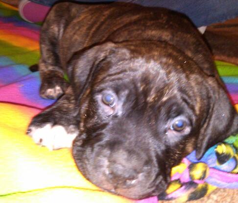 Aliva_lienad's profile picture. Livin life one on one with me myself and the one love!