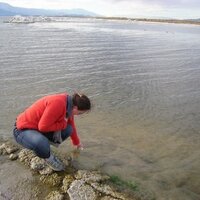 Tania Kovats Oceans (@tkoceans) 's Twitter Profile