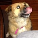 Ben Addison - @SowkBen - Twitter