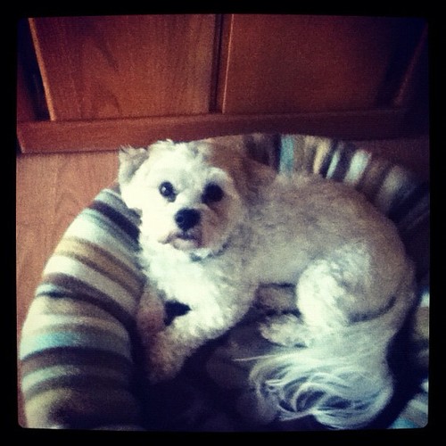 gurdeep9mb8592's profile picture. People are seriously making parody accounts about the shooting in Connecticut? wow....