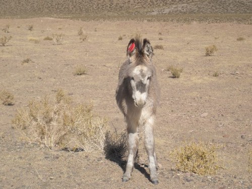 PenelopeLali's profile picture. Ewige Lehrling von Deutsch. Ich lese und koche gern, aber was ich am liebsten mag, ist mit meiner Familie zu reisen.