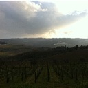 The Olive Grove - @Not_OliveGarden - Twitter