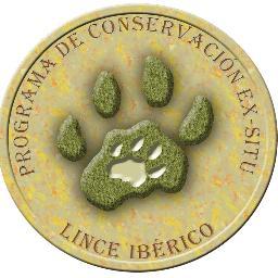 Cuenta oficial del Programa de Conservación Ex-situ del Lince Ibérico
Iberian Lynx Ex-situ Breeding Programme
