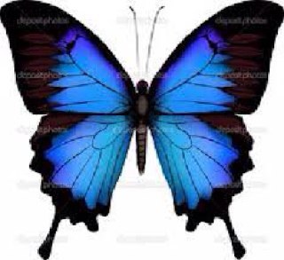 keepinghim1st's profile picture. 