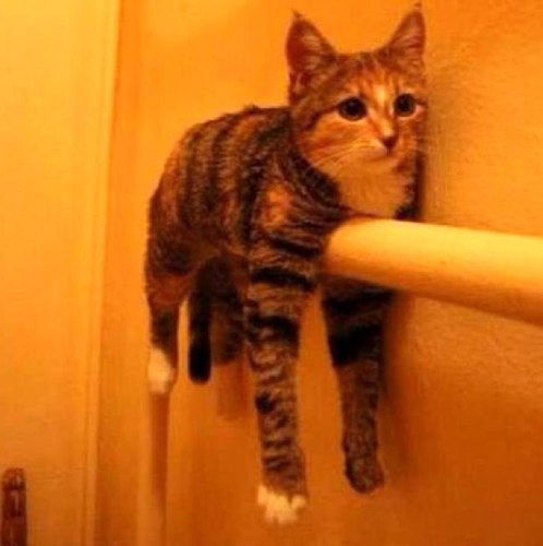 Namfi_55205's profile picture. めっちゃさみしいよ～ あーあ、誰かそばにいたら、・・・ ねえ、フォーしてくれないの？ いい写真見せるからさ(^_-)-☆
 😘🍑💝