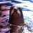 riescoalberto's profile image