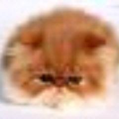 oi