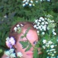 Laura (@rosehipsmedlars) 's Twitter Profile