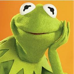 Detroit Native, New York transplant, Kermit impersonator.