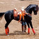 freddy rios - @fredrios2201 - Twitter