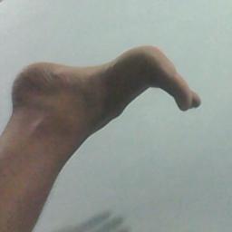 zandalzepitus's profile picture. I am not sure.