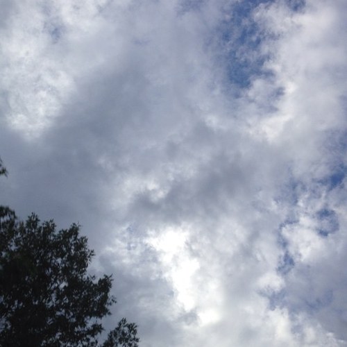 Rube_itscubed's profile picture. 