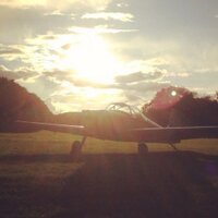 Matt Golder (@mattgolder) 's Twitter Profile