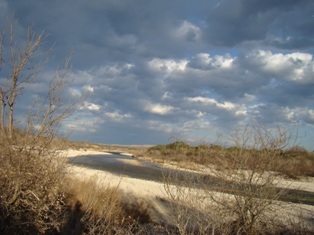 texashunts's profile picture. First class weekend hunts!
