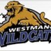 Westman Wildcats (@westmanAAA) Twitter profile photo
