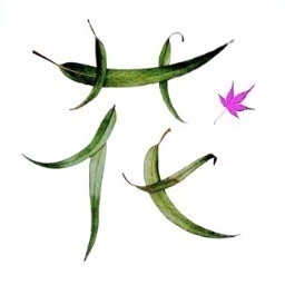 Instalación, encargos a medida, eventos y decoración. Cursos de Ikebana, ceremonia té japonés, envoltorio japonés Otsutsumi, Origami, Pochi, té verde, comida.