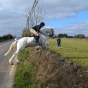 Declan Ferguson - @Fergusondeclan - Twitter